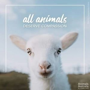 Meet your Posher, Jane